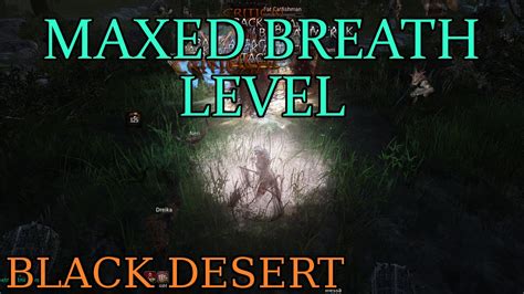 bdo max breath level.